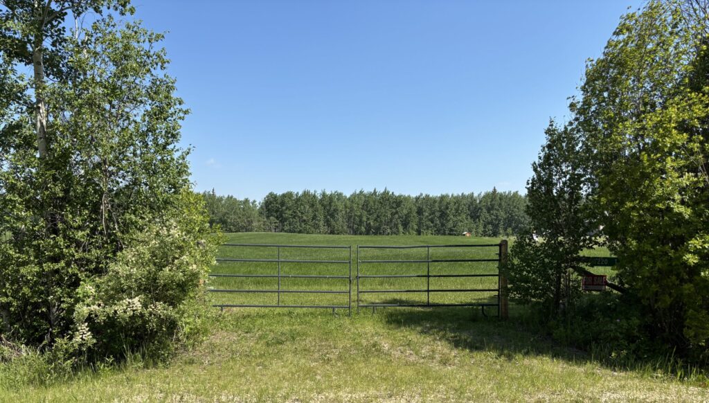 View looking towards the closed gates leading into a sprawling green clear piece of land with trees in the distance.